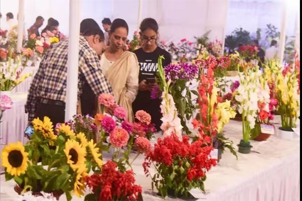 flower show