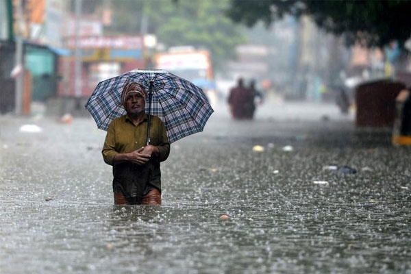 Heavy rain forecast Farmers were worried after heavy rains