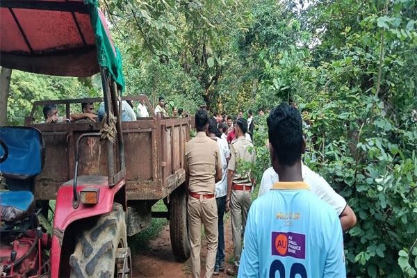 gondia tiger