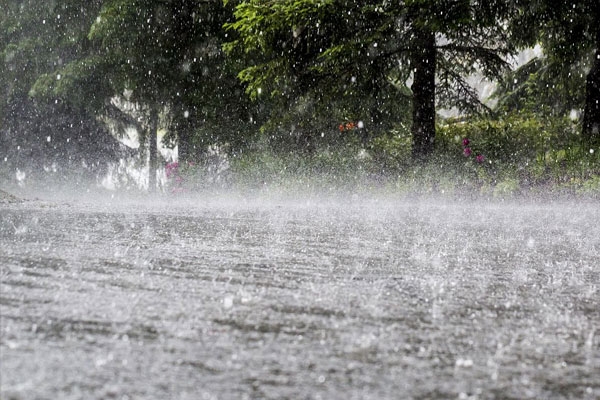 Heavy rainfall in the state Heavy rainfall in the state