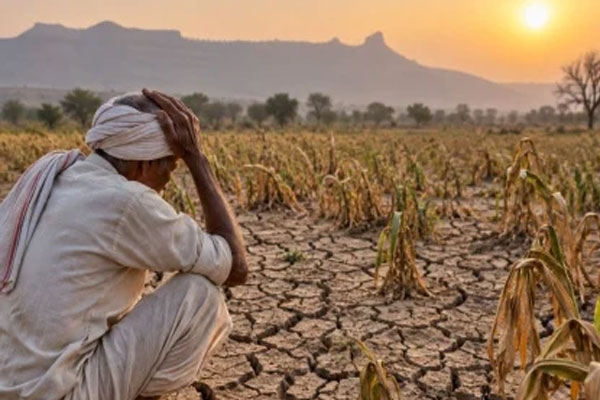 sharad pawar to visit drought-hit maharashtra, demands rs 50,000 per hectare aid for farmers