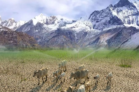 देशावर कल्पनेपेक्षा मोठे संकट, पुढच्या काही महिन्यात भयानक अल-नीनो