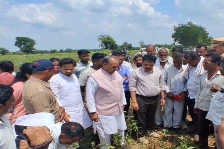 पिक परिस्थिती जाणून घेण्यासाठी मंत्री संजय सावकारे शेताच्या बांधावर