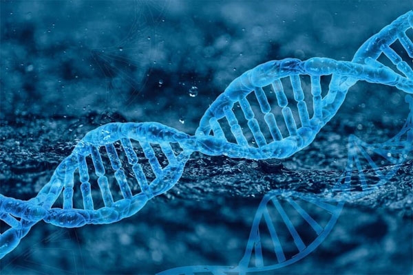 water dna water dna