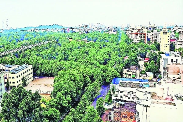  nagpur tree census complete