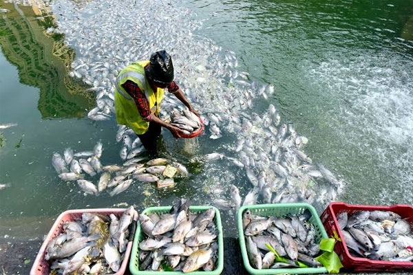 nabard approves rs 195 crore loan for fisheries infrastructure in siwan bihar