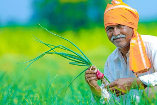 यंदा १६ वे अ. भा. मराठी शेतकरी साहित्य संमेलन थेट बांधावर