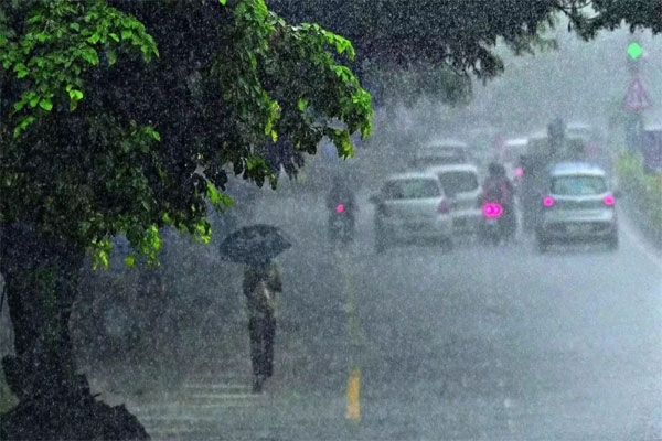 rain alert