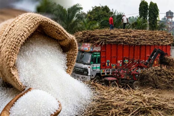 suger shortage