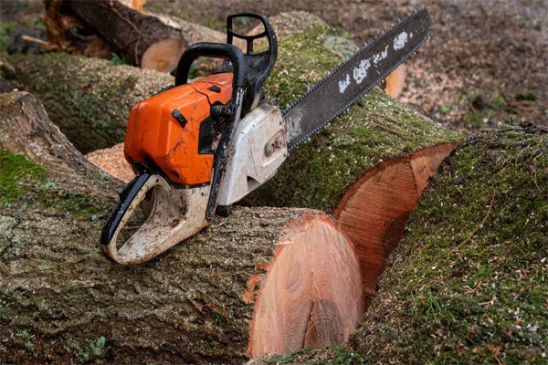 tree cutting