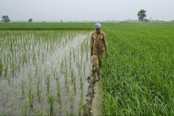 farmers shelter for 7796 lakhs farmers shelter for 7796 lakhs