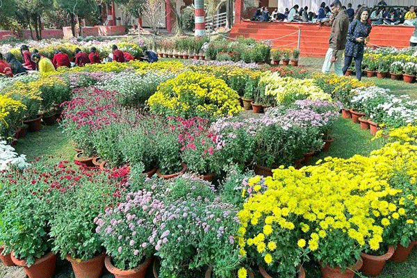 flower festival 