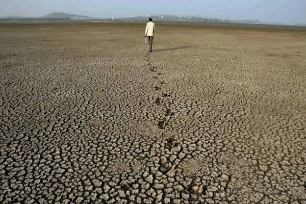 drought-in-maharashtra drought-in-maharashtra