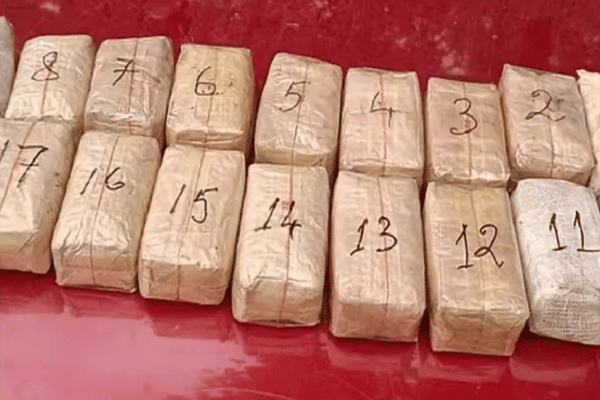 brown sugar worth 80 crore seized
