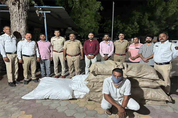 अवैध धंद्यांवर पोलिसांचा 'सर्जिकल स्ट्राईक'
