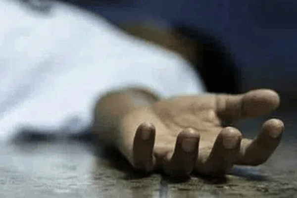 जन्माष्टमीची मिरवणूक पाहून परतताना दोघांचा मृत्यू