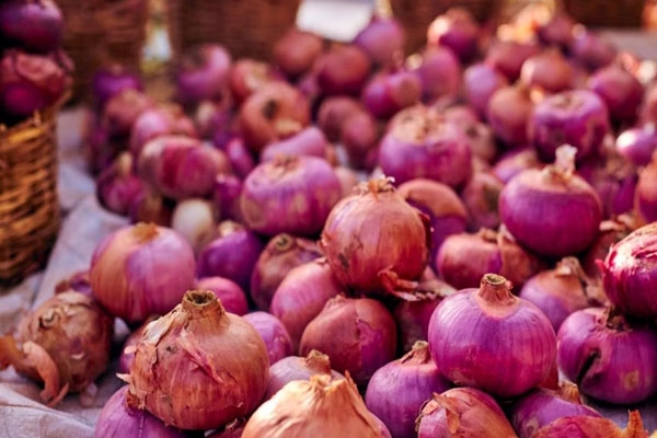 onion price relief: government sells 4000 tonnes of buffer onions at rs 35 per kg in 17 cities