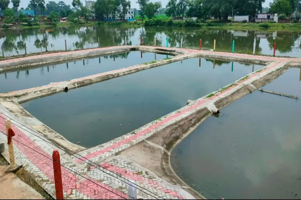 bihar village turns dirty wastewater into useful resource with innovative wsp model